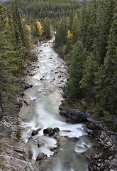 Image showing Athabasca River Rocky Mountains