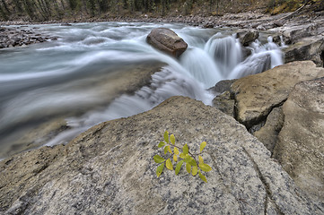 Image showing Sunwapta Waterfall Alberta Canada