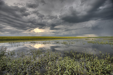 Image showing Slough pond and crop