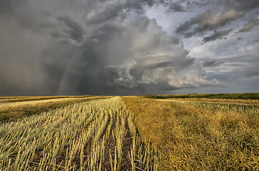 Image showing Stubble Field and Prarie Storm