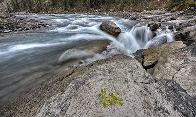Image showing Sunwapta Waterfall Alberta Canada