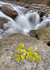 Image showing Sunwapta Waterfall Alberta Canada