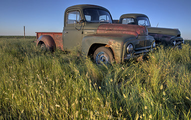 Image showing Vintage Farm Trucks