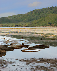 Image showing Beach scene