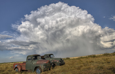 Image showing Vintage Farm Trucks