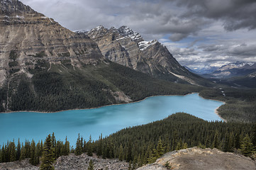 Image showing Peyto Lake Alberta Canada
