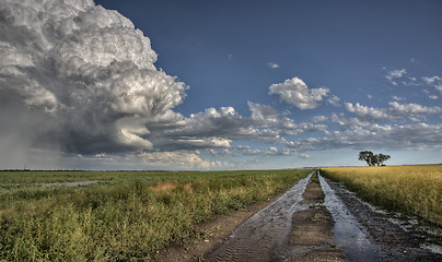 Image showing Prairie Road Storm Clouds