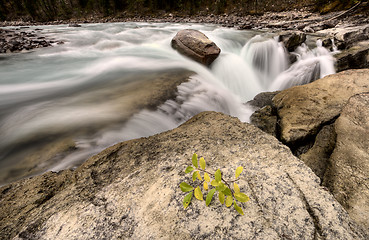 Image showing Sunwapta Waterfall Alberta Canada