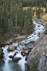 Image showing Athabasca River Rocky Mountains