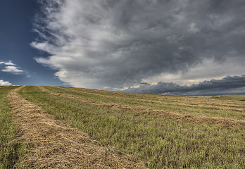 Image showing Prairie Road Storm Clouds