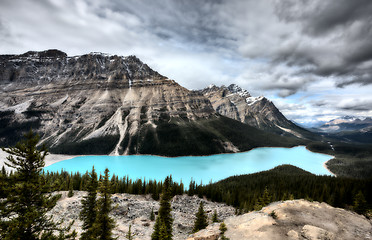 Image showing Peyto Lake Alberta Canada