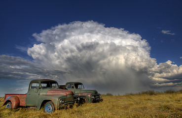 Image showing Vintage Farm Trucks