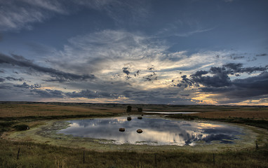 Image showing Slough pond and crop