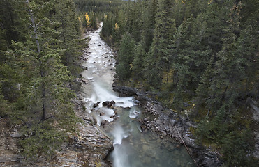 Image showing Athabasca River Rocky Mountains