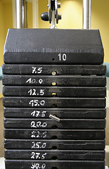 Image showing Weights 1