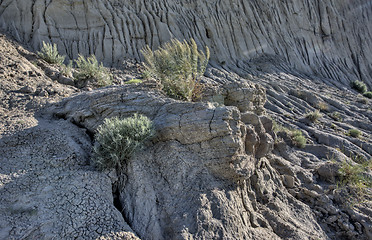 Image showing Saskatchewan Big Muddy Badlands