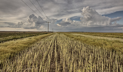 Image showing Stubble Field and Prarie Storm