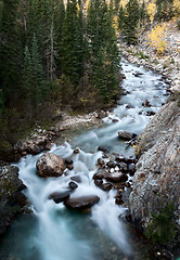 Image showing Athabasca River Rocky Mountains