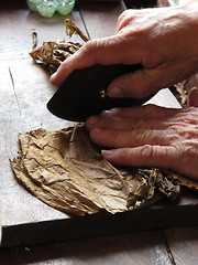Image showing Cigarmaking