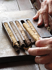 Image showing Cigarmaking