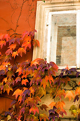 Image showing Prague window