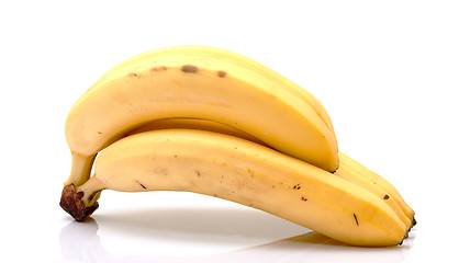 Image showing Bunch of Bananas