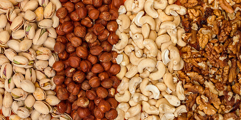 Image showing Mix of Nuts