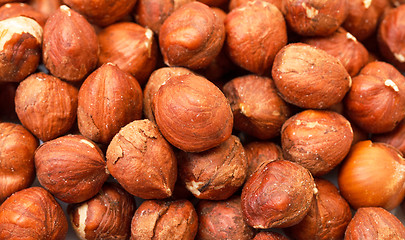 Image showing Heap Purified Cobnuts