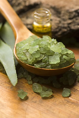 Image showing Aloe vera with bath salt and massage oil