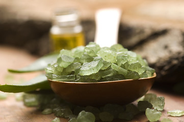 Image showing Aloe vera with bath salt and massage oil