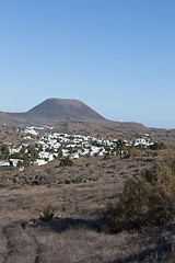 Image showing One thousand Palmers Valley