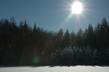 Image showing Winter sky