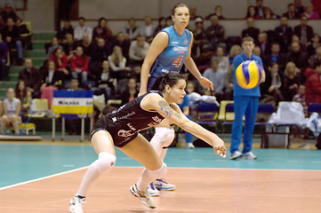 Image showing Svetlana Kryuchkova. Libero of Dynamo Moscow