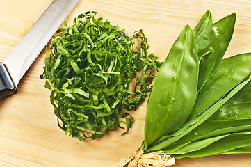 Image showing wild garlic