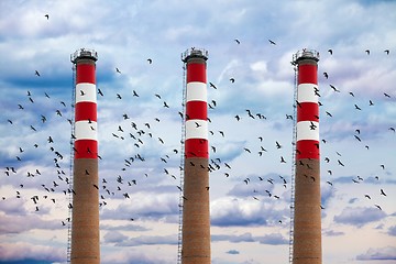 Image showing Chimneys