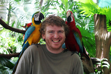 Image showing Jungle friends