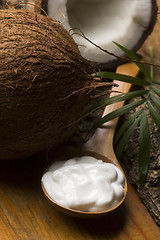 Image showing Coconut and coconut oil 