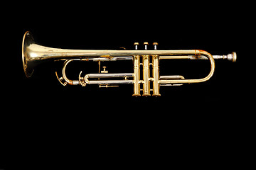 Image showing golden trumpet