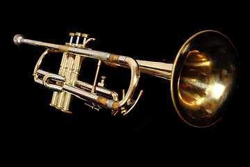 Image showing golden trumpet