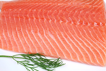 Image showing Salmon