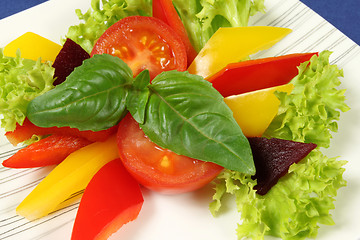 Image showing Vegetarian salad