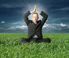 Image showing businessman in lotus pose in green grass
