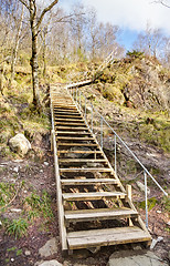 Image showing Stairway in nature