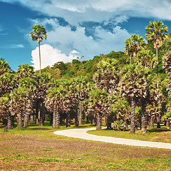 Image showing Jungle Park