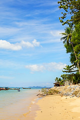 Image showing Tropical Beach