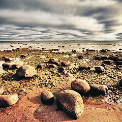 Image showing rocky seashore