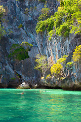 Image showing Snorkeling