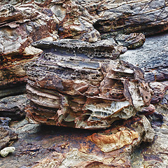 Image showing Rocks on a Shore