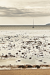 Image showing Yacht in the Sea