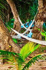 Image showing Hammocks on Resort